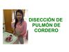 Xue Mei Wang (Disección de pulmón de cordero)