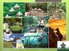 EL ECOTURISMO