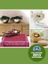 Anteprima Catalogo DMC 2013