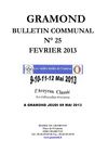 Bulletin communal n°25 Février 2013