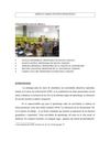 MARCO POLITICO PEDAGOGICO