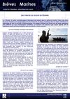Brèves Marines n°160 : les pirates du golfe de Guinée