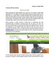 Things to Consider While Choosing a Moving Company 