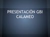 Presentacion GBI Calameo