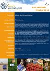 Lettr'Info de France Volontaires - Février 2013