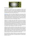 Why choose synthetic grass