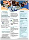 STV Web mars 2013