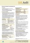 Fair Audit - GermanTax Information 2013