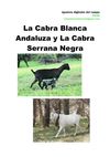 Apuntes del campo 1