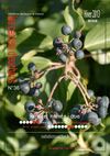Les Carnets d'Eucharis N°36 - Hiver 2013