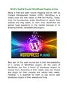 Wordpress Development and Programming - Perceptionsystem