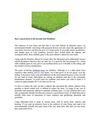 Have a green lawn to the beyond your Residence
