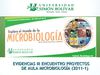 Evidencias III Encuentro proyectos de aula 2011-1