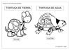 PROY. LAS TORTUGAS