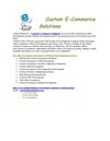 Custom Ecommerce Solutions
