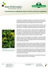 Note d'info les cueillettes du printemps