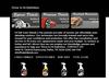 Hi Def Auto Detail Dalla's detailing solutions