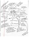 MindMaps _NSG