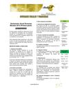 Boletín 10/13 "Novedades Fiscales y Financieras"