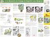 Plan des canailles 2013