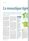 Moustique Tigre
