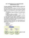 USO Y PERTINENCIA DE LOS ORGANIZADORES GRAFICOS EN EL AULA
