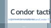 Condor tactical