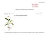 planificacion ciencias naturales