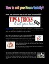 How To Sell your House Quickly
