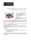Document Typing Services - Turn Printed Documents into MS word