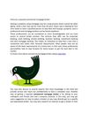 Find out a reputed commercial mortgage broker