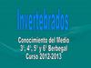 Animales Invertebrados
