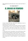 giornale animali 2 strassoldo