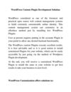 WordPress Custom Plugin Development Solution