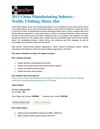 2013 China manufacturing market - textile clothing, shoes, hat