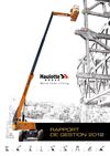 Haulotte Group - Rapport de gestion 2012