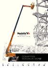 Haulotte Group - Comptes sociaux 2012