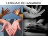 El lenguaje de las manos