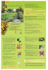 Calendrier du Jardinage