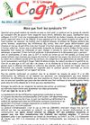 CoGiTo N°30 mai 2013