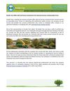 Double Tree Offers Safe and Secure Commercial Tree Removal Services at Reasonable Prices 