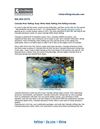 Colorado River Rafting: Enjoy White Water Rafting with Rafting Colorado