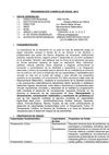 PROGRAMACIÓN CURRICULAR ANUAL 2013