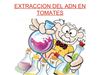 Extracción de ADN vegetal (Andrés Rodríguez Raimúndez)