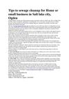 Tips to sewage cleanup for Home or small business in Salt lake city, Ogden