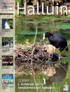 Magazine d'information municipale de la ville d'Halluin - Juin / Juillet 2013